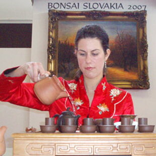 Bonsai Slovakia 2007