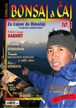 Magazín Bonsaj a čaj