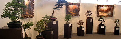 Bonsai Slovakia 2007