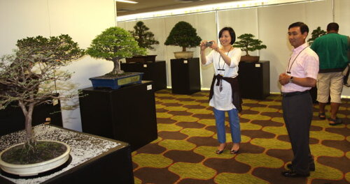 6th World Bonsai Convention Puerto Rico 2009