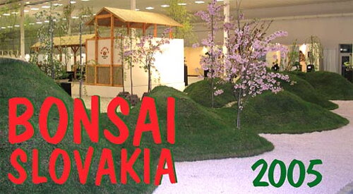 Bonsai Slovakia 2005