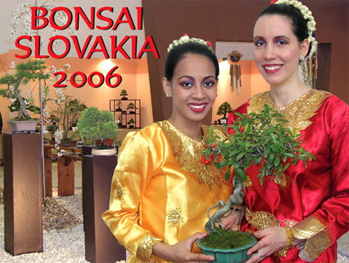 Bonsai Slovakia 2006