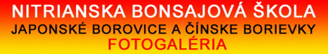 nITRIANSKA BONSAJOVÁ ŠKOLA