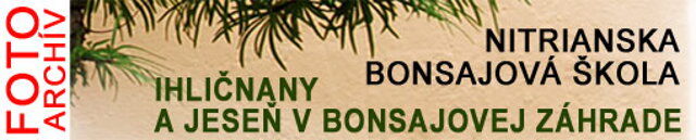 Nitrianska bonsajová škola  OKTÓBROVÝ KURZ BONSAJOVEJ ŠKOLY    Téma: IHLIČNANY... A JESEŇ V BONSAJOVEJ ZÁHRADE 29. - 30. OKTÓBER 2011  