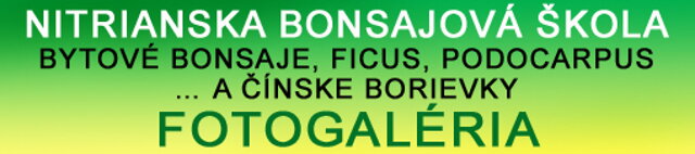 NITRIANSKA BONSAJOVÁ ŠKOLA - BONSAI CENTRUM NITRA - VEDIE RNDr. VLADIMíR ONDEJČÍK, RNDr. ALENA ONDEJČÍKOVÁ