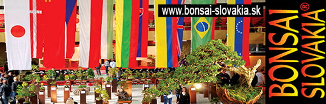 bonsai slovakia 2015