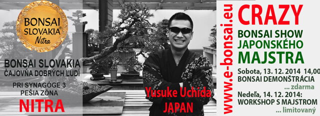 YUSUKE UCHIDA