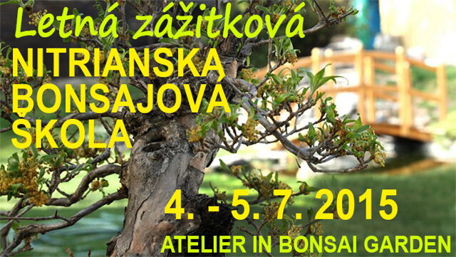 ZÁŽITKOVÁ BONSAJOVÁ ŠKOLA