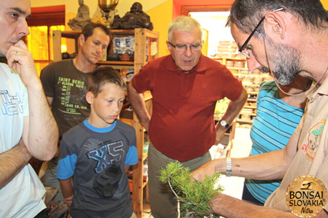 Nitrianska bonsajová škola - Bonsai centrum Nitra - máj 2011 - bonsajové krajinky, penjing