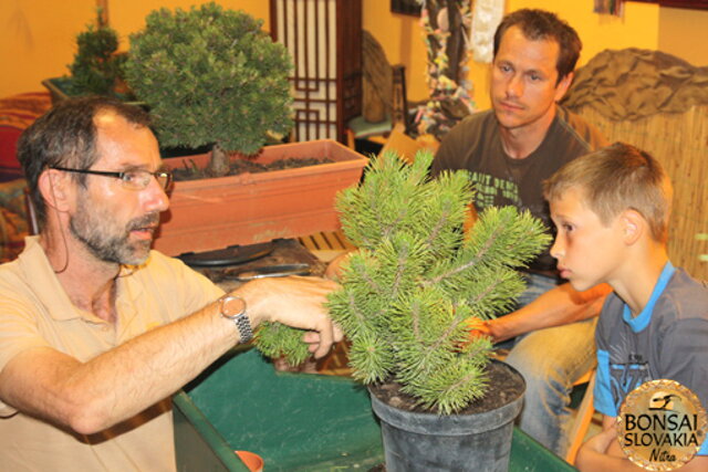 Nitrianska bonsajová škola - Bonsai centrum Nitra - máj 2011 - bonsajové krajinky, penjing