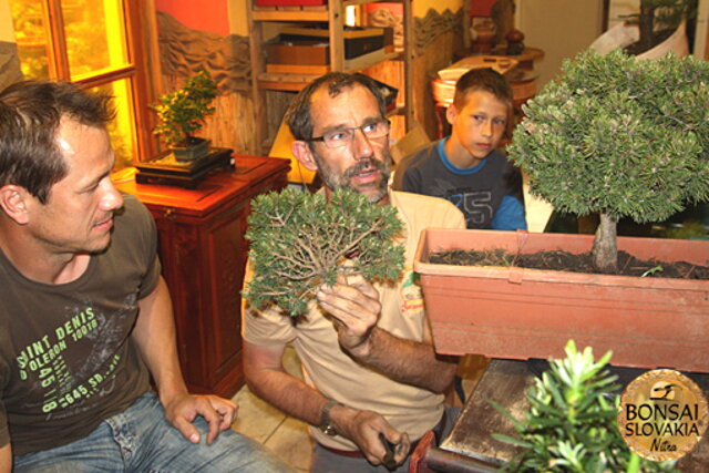 Nitrianska bonsajová škola - Bonsai centrum Nitra - máj 2011 - bonsajové krajinky, penjing