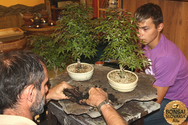 Nitrianska bonsajová škola - Bonsai centrum Nitra - máj 2011 - bonsajové krajinky, penjing