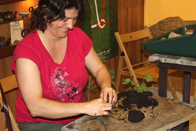 Nitrianska bonsajová škola - Bonsai centrum Nitra - máj 2011 - bonsajové krajinky, penjing