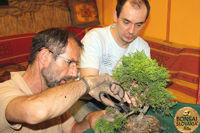 Nitrianska bonsajová škola - Bonsai centrum Nitra - máj 2011 - bonsajové krajinky, penjing