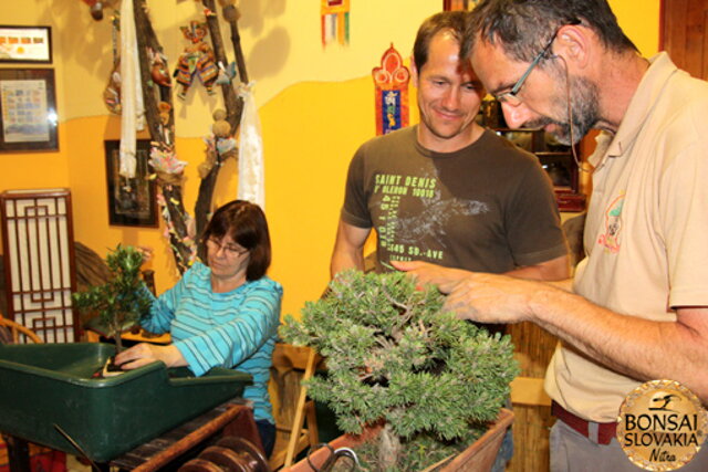 Nitrianska bonsajová škola - Bonsai centrum Nitra - máj 2011 - bonsajové krajinky, penjing