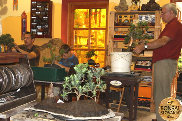 Nitrianska bonsajová škola - Bonsai centrum Nitra - máj 2011 - bonsajové krajinky, penjing