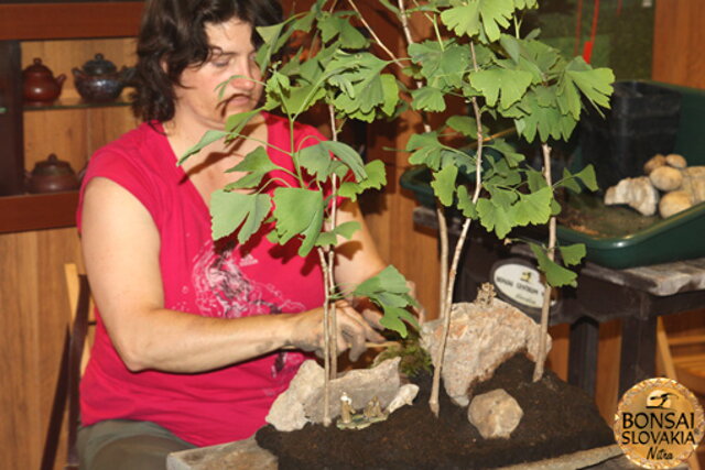 Nitrianska bonsajová škola - Bonsai centrum Nitra - máj 2011 - bonsajové krajinky, penjing
