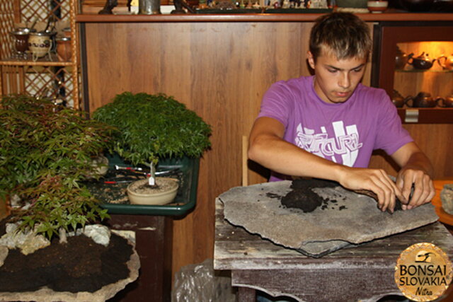 Nitrianska bonsajová škola - Bonsai centrum Nitra - máj 2011 - bonsajové krajinky, penjing