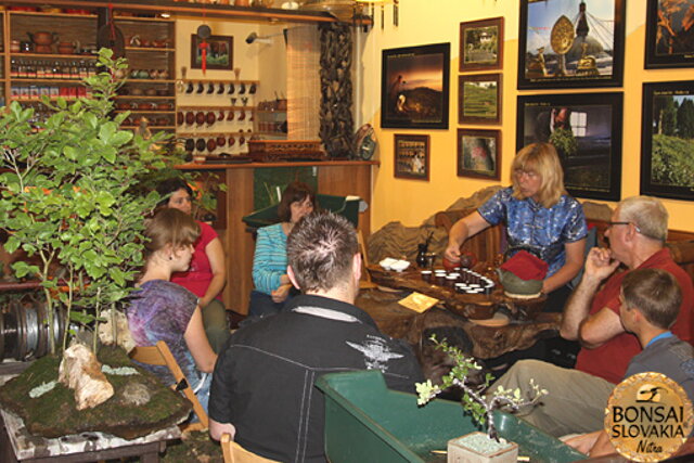 Nitrianska bonsajová škola - Bonsai centrum Nitra - máj 2011 - bonsajové krajinky, penjing