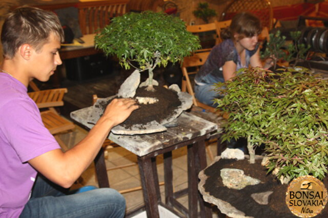 Nitrianska bonsajová škola - Bonsai centrum Nitra - máj 2011 - bonsajové krajinky, penjing