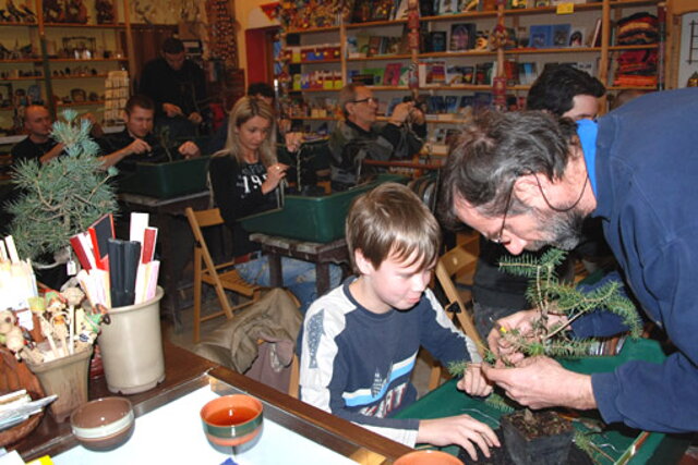 NITRIANSKA BONSAJOVÁ ŠKOLA - BONSAI CENTRUM NITRA - VEDIE RNDr. VLADIMíR ONDEJČÍK, RNDr. ALENA ONDEJČÍKOVÁ