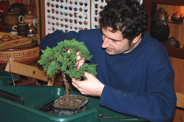 NITRIANSKA BONSAJOVÁ ŠKOLA - BONSAI CENTRUM NITRA - VEDIE RNDr. VLADIMíR ONDEJČÍK, RNDr. ALENA ONDEJČÍKOVÁ