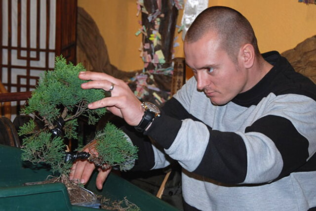 NITRIANSKA BONSAJOVÁ ŠKOLA - BONSAI CENTRUM NITRA - VEDIE RNDr. VLADIMíR ONDEJČÍK, RNDr. ALENA ONDEJČÍKOVÁ