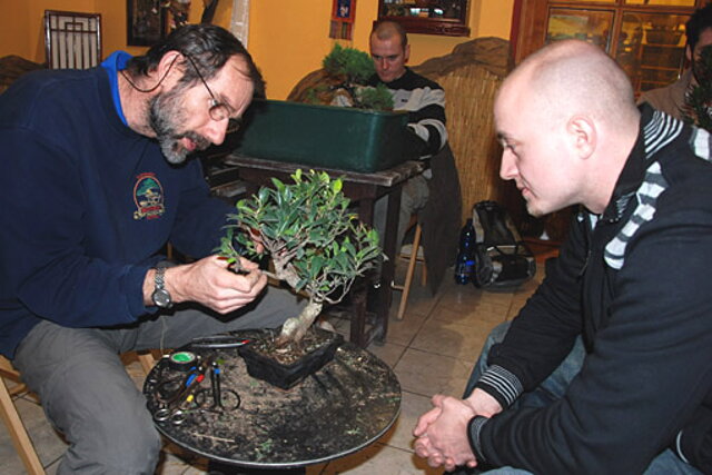 NITRIANSKA BONSAJOVÁ ŠKOLA - BONSAI CENTRUM NITRA - VEDIE RNDr. VLADIMíR ONDEJČÍK, RNDr. ALENA ONDEJČÍKOVÁ