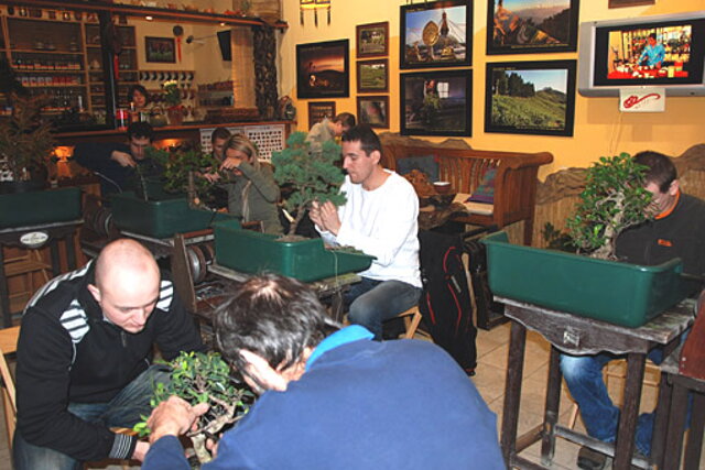 NITRIANSKA BONSAJOVÁ ŠKOLA - BONSAI CENTRUM NITRA - VEDIE RNDr. VLADIMíR ONDEJČÍK, RNDr. ALENA ONDEJČÍKOVÁ