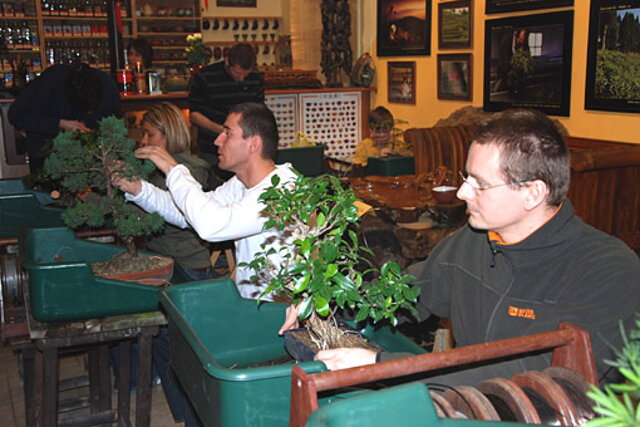 NITRIANSKA BONSAJOVÁ ŠKOLA - BONSAI CENTRUM NITRA - VEDIE RNDr. VLADIMíR ONDEJČÍK, RNDr. ALENA ONDEJČÍKOVÁ