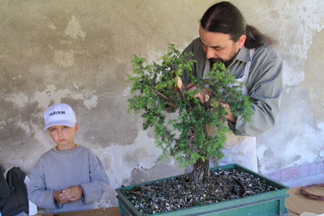 7. Národná výstava bonsajov a suseki SBA Prešov 2009 - III.