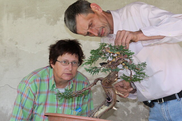 7. Národná výstava bonsajov a suseki SBA Prešov 2009 - III.