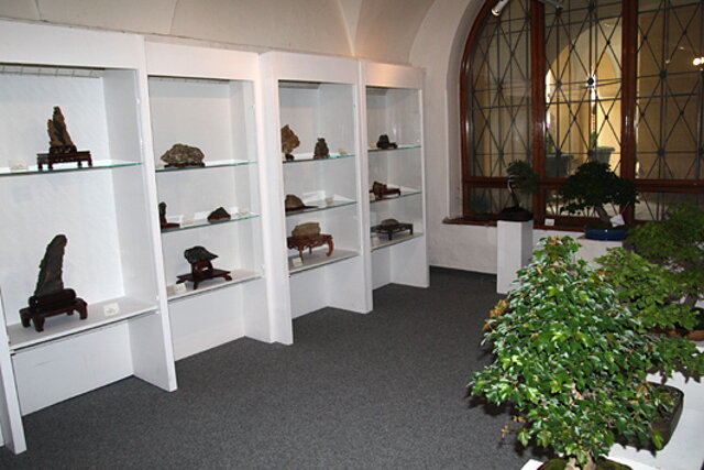 Národná výstava bonsajov a suiseki SBA - Prešov 2009 - prezident SBA RNDr. Vladimír Ondejčík