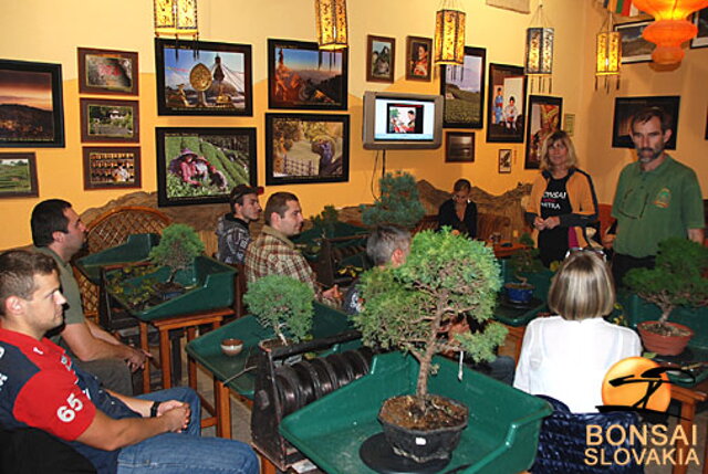 OKTÓBROVÝ KURZ BONSAJOVEJ ŠKOLY    Téma: IHLIČNANY... A JESEŇ V BONSAJOVEJ ZÁHRADE 29. - 30. OKTÓBER 2011    Miesto konania: Bonsai Slovakia - , Čajovňa dobrých ľudí Pri synagóge 3, pešia zóna, 949 01 Nitra    Lektori: RNDr. Vladimír Ondejčík, RNDr. Alenka Ondejčíková