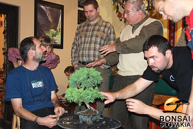 OKTÓBROVÝ KURZ BONSAJOVEJ ŠKOLY    Téma: IHLIČNANY... A JESEŇ V BONSAJOVEJ ZÁHRADE 29. - 30. OKTÓBER 2011    Miesto konania: Bonsai Slovakia - , Čajovňa dobrých ľudí Pri synagóge 3, pešia zóna, 949 01 Nitra    Lektori: RNDr. Vladimír Ondejčík, RNDr. Alenka Ondejčíková