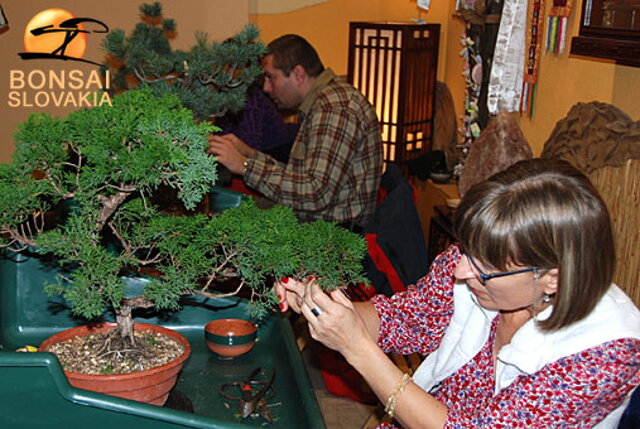 OKTÓBROVÝ KURZ BONSAJOVEJ ŠKOLY    Téma: IHLIČNANY... A JESEŇ V BONSAJOVEJ ZÁHRADE 29. - 30. OKTÓBER 2011    Miesto konania: Bonsai Slovakia - , Čajovňa dobrých ľudí Pri synagóge 3, pešia zóna, 949 01 Nitra    Lektori: RNDr. Vladimír Ondejčík, RNDr. Alenka Ondejčíková