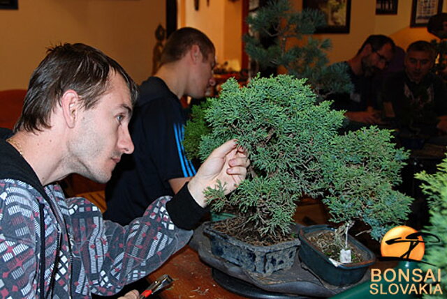 OKTÓBROVÝ KURZ BONSAJOVEJ ŠKOLY    Téma: IHLIČNANY... A JESEŇ V BONSAJOVEJ ZÁHRADE 29. - 30. OKTÓBER 2011    Miesto konania: Bonsai Slovakia - , Čajovňa dobrých ľudí Pri synagóge 3, pešia zóna, 949 01 Nitra    Lektori: RNDr. Vladimír Ondejčík, RNDr. Alenka Ondejčíková