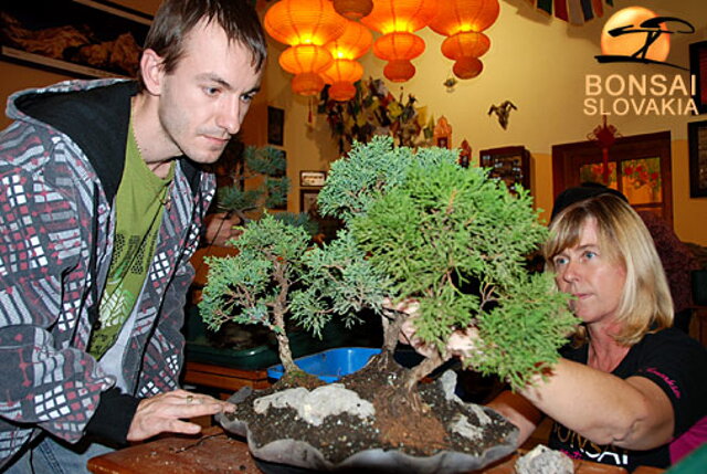 OKTÓBROVÝ KURZ BONSAJOVEJ ŠKOLY    Téma: IHLIČNANY... A JESEŇ V BONSAJOVEJ ZÁHRADE 29. - 30. OKTÓBER 2011    Miesto konania: Bonsai Slovakia - , Čajovňa dobrých ľudí Pri synagóge 3, pešia zóna, 949 01 Nitra    Lektori: RNDr. Vladimír Ondejčík, RNDr. Alenka Ondejčíková