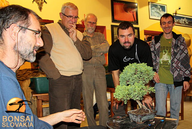 OKTÓBROVÝ KURZ BONSAJOVEJ ŠKOLY    Téma: IHLIČNANY... A JESEŇ V BONSAJOVEJ ZÁHRADE 29. - 30. OKTÓBER 2011    Miesto konania: Bonsai Slovakia - , Čajovňa dobrých ľudí Pri synagóge 3, pešia zóna, 949 01 Nitra    Lektori: RNDr. Vladimír Ondejčík, RNDr. Alenka Ondejčíková