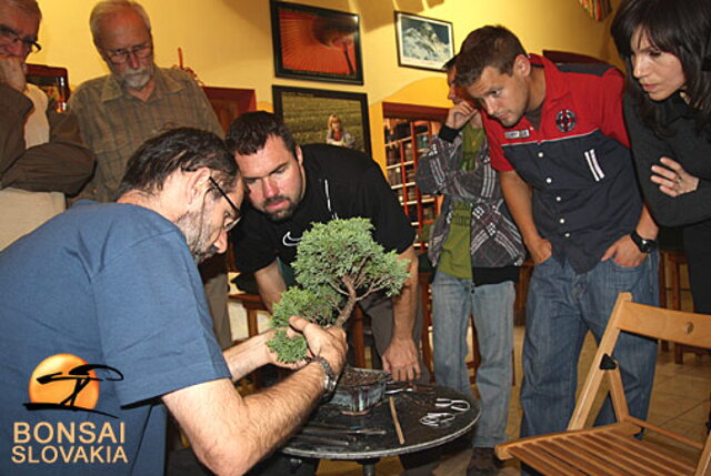 OKTÓBROVÝ KURZ BONSAJOVEJ ŠKOLY    Téma: IHLIČNANY... A JESEŇ V BONSAJOVEJ ZÁHRADE 29. - 30. OKTÓBER 2011    Miesto konania: Bonsai Slovakia - , Čajovňa dobrých ľudí Pri synagóge 3, pešia zóna, 949 01 Nitra    Lektori: RNDr. Vladimír Ondejčík, RNDr. Alenka Ondejčíková