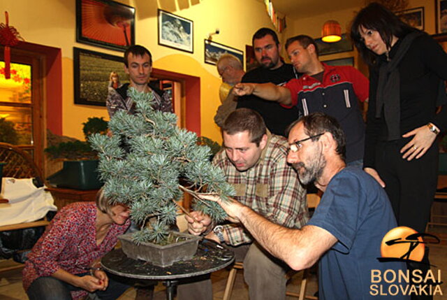 OKTÓBROVÝ KURZ BONSAJOVEJ ŠKOLY    Téma: IHLIČNANY... A JESEŇ V BONSAJOVEJ ZÁHRADE 29. - 30. OKTÓBER 2011    Miesto konania: Bonsai Slovakia - , Čajovňa dobrých ľudí Pri synagóge 3, pešia zóna, 949 01 Nitra    Lektori: RNDr. Vladimír Ondejčík, RNDr. Alenka Ondejčíková