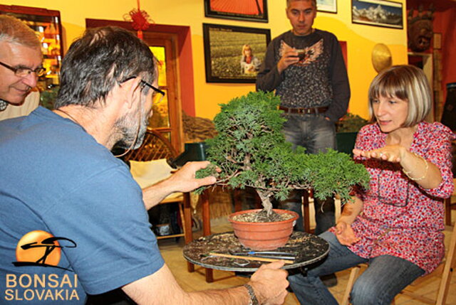 OKTÓBROVÝ KURZ BONSAJOVEJ ŠKOLY    Téma: IHLIČNANY... A JESEŇ V BONSAJOVEJ ZÁHRADE 29. - 30. OKTÓBER 2011    Miesto konania: Bonsai Slovakia - , Čajovňa dobrých ľudí Pri synagóge 3, pešia zóna, 949 01 Nitra    Lektori: RNDr. Vladimír Ondejčík, RNDr. Alenka Ondejčíková