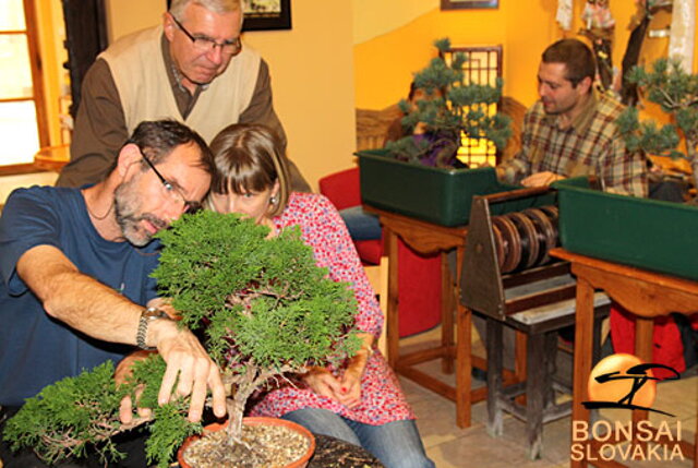 OKTÓBROVÝ KURZ BONSAJOVEJ ŠKOLY    Téma: IHLIČNANY... A JESEŇ V BONSAJOVEJ ZÁHRADE 29. - 30. OKTÓBER 2011    Miesto konania: Bonsai Slovakia - , Čajovňa dobrých ľudí Pri synagóge 3, pešia zóna, 949 01 Nitra    Lektori: RNDr. Vladimír Ondejčík, RNDr. Alenka Ondejčíková