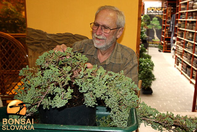 OKTÓBROVÝ KURZ BONSAJOVEJ ŠKOLY    Téma: IHLIČNANY... A JESEŇ V BONSAJOVEJ ZÁHRADE 29. - 30. OKTÓBER 2011    Miesto konania: Bonsai Slovakia - , Čajovňa dobrých ľudí Pri synagóge 3, pešia zóna, 949 01 Nitra    Lektori: RNDr. Vladimír Ondejčík, RNDr. Alenka Ondejčíková