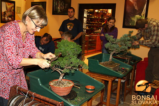 OKTÓBROVÝ KURZ BONSAJOVEJ ŠKOLY    Téma: IHLIČNANY... A JESEŇ V BONSAJOVEJ ZÁHRADE 29. - 30. OKTÓBER 2011    Miesto konania: Bonsai Slovakia - , Čajovňa dobrých ľudí Pri synagóge 3, pešia zóna, 949 01 Nitra    Lektori: RNDr. Vladimír Ondejčík, RNDr. Alenka Ondejčíková