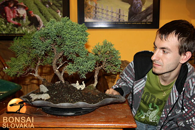 OKTÓBROVÝ KURZ BONSAJOVEJ ŠKOLY    Téma: IHLIČNANY... A JESEŇ V BONSAJOVEJ ZÁHRADE 29. - 30. OKTÓBER 2011    Miesto konania: Bonsai Slovakia - , Čajovňa dobrých ľudí Pri synagóge 3, pešia zóna, 949 01 Nitra    Lektori: RNDr. Vladimír Ondejčík, RNDr. Alenka Ondejčíková