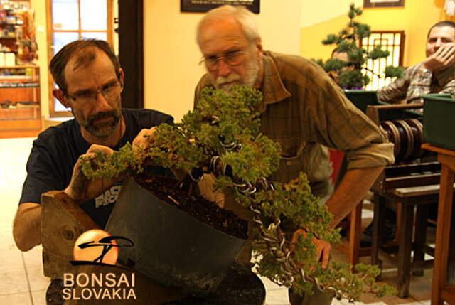 OKTÓBROVÝ KURZ BONSAJOVEJ ŠKOLY    Téma: IHLIČNANY... A JESEŇ V BONSAJOVEJ ZÁHRADE 29. - 30. OKTÓBER 2011    Miesto konania: Bonsai Slovakia - , Čajovňa dobrých ľudí Pri synagóge 3, pešia zóna, 949 01 Nitra    Lektori: RNDr. Vladimír Ondejčík, RNDr. Alenka Ondejčíková