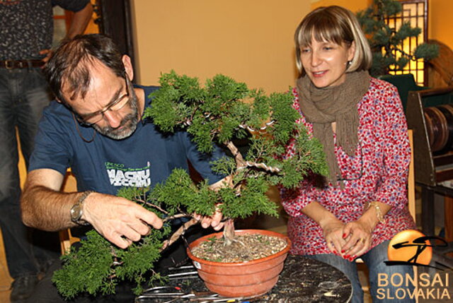 OKTÓBROVÝ KURZ BONSAJOVEJ ŠKOLY    Téma: IHLIČNANY... A JESEŇ V BONSAJOVEJ ZÁHRADE 29. - 30. OKTÓBER 2011    Miesto konania: Bonsai Slovakia - , Čajovňa dobrých ľudí Pri synagóge 3, pešia zóna, 949 01 Nitra    Lektori: RNDr. Vladimír Ondejčík, RNDr. Alenka Ondejčíková