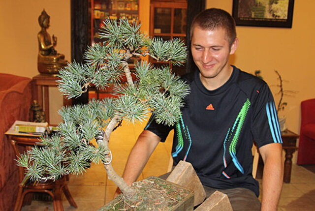 OKTÓBROVÝ KURZ BONSAJOVEJ ŠKOLY    Téma: IHLIČNANY... A JESEŇ V BONSAJOVEJ ZÁHRADE 29. - 30. OKTÓBER 2011    Miesto konania: Bonsai Slovakia - , Čajovňa dobrých ľudí Pri synagóge 3, pešia zóna, 949 01 Nitra    Lektori: RNDr. Vladimír Ondejčík, RNDr. Alenka Ondejčíková