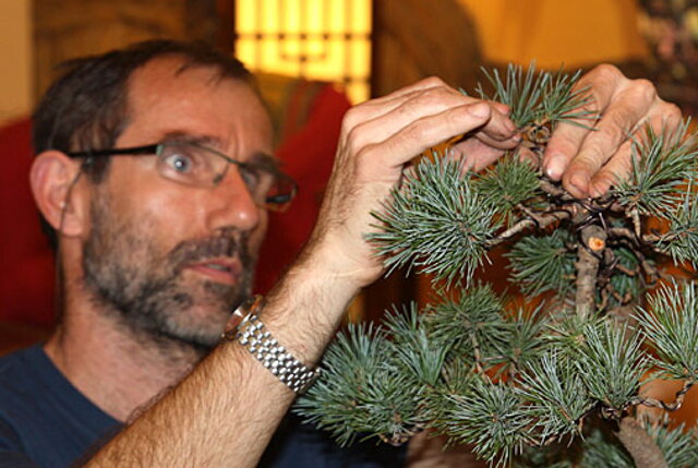 OKTÓBROVÝ KURZ BONSAJOVEJ ŠKOLY    Téma: IHLIČNANY... A JESEŇ V BONSAJOVEJ ZÁHRADE 29. - 30. OKTÓBER 2011    Miesto konania: Bonsai Slovakia - , Čajovňa dobrých ľudí Pri synagóge 3, pešia zóna, 949 01 Nitra    Lektori: RNDr. Vladimír Ondejčík, RNDr. Alenka Ondejčíková